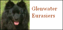 Glenwater Eurasiers